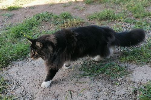 Фото ИА "АИС"